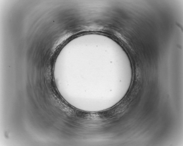 X0000101421315200807280929