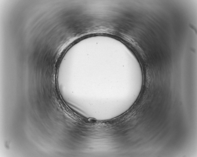 X0000101421316200807280929