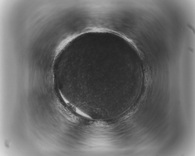 X0000101421319200807280929