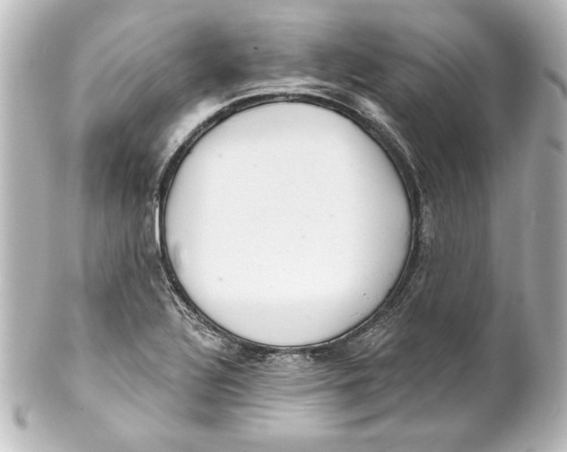 X0000101421320200807280929