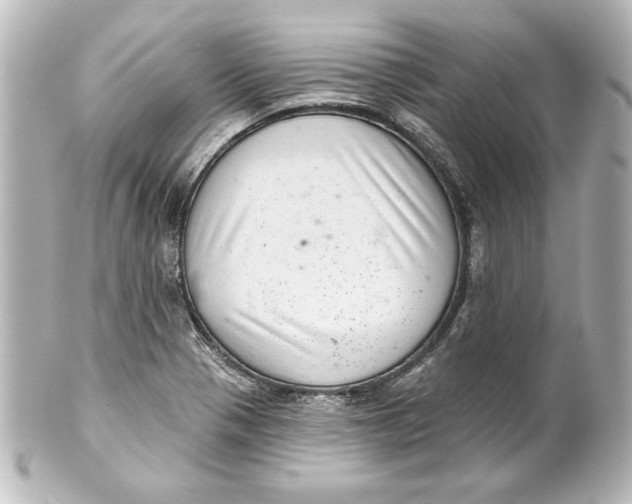 X0000101421321200807280929