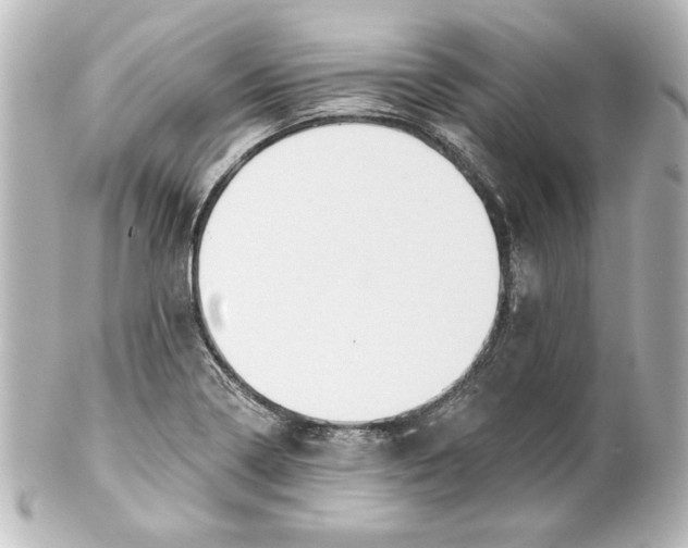 X0000101421322200807280929
