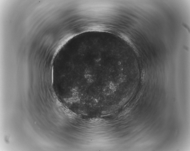 X0000101421323200807280929