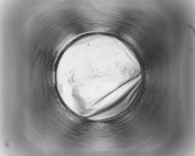 X0000101421324200807280929