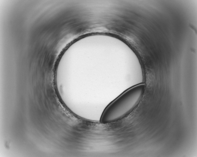 X0000101421326200807280929