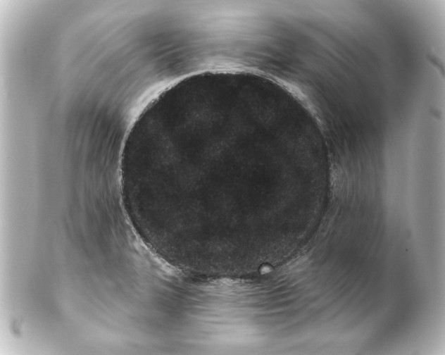 X0000101421327200807280929