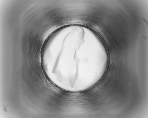 X0000101421328200807280929