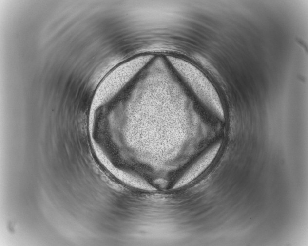 X0000101421329200807280929
