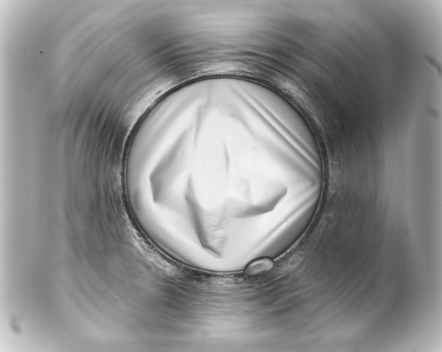 X0000101421330200807280929