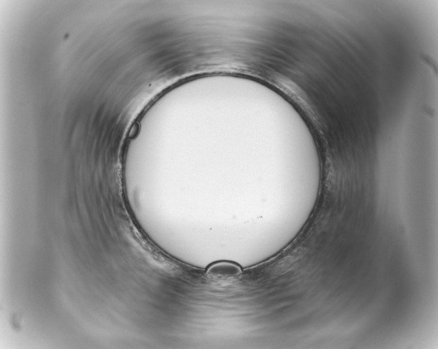X0000101421332200807280929