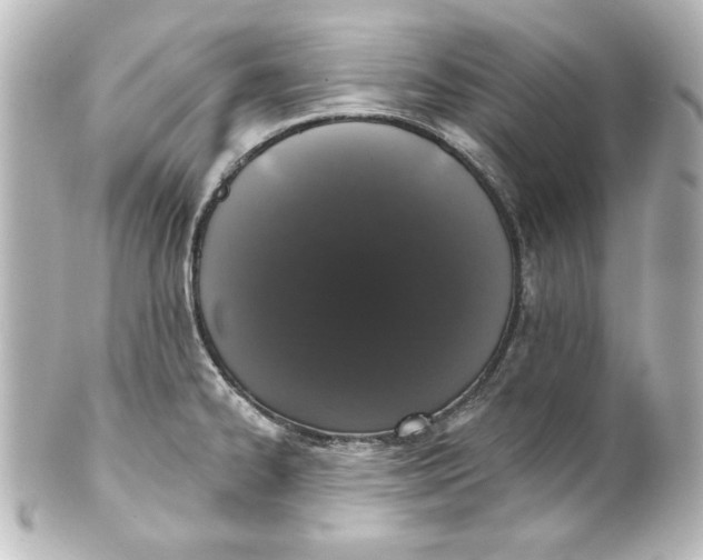 X0000101421334200807280929