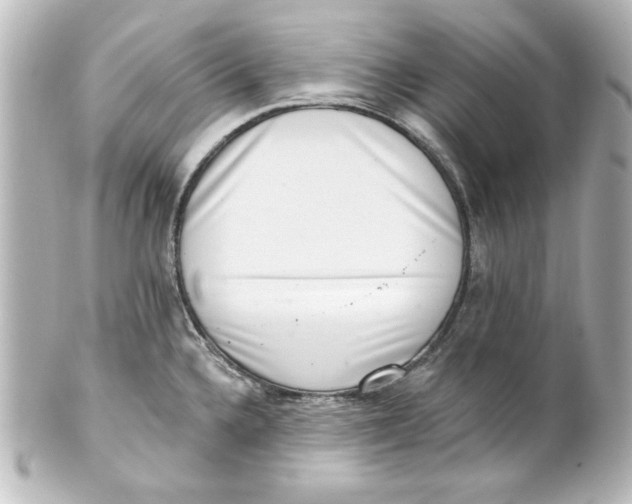 X0000101421336200807280929