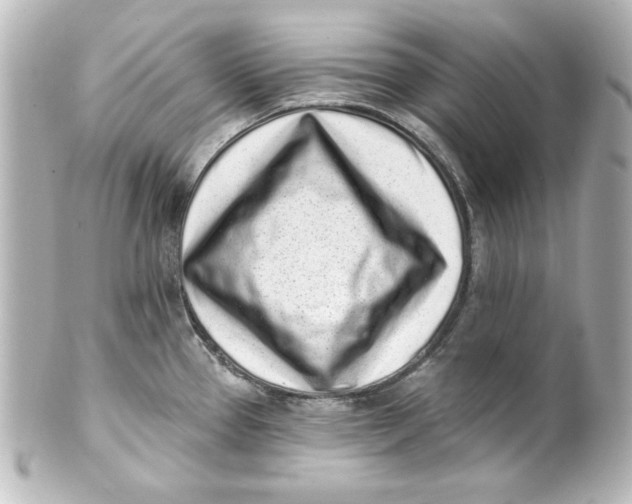 X0000101421337200807280929