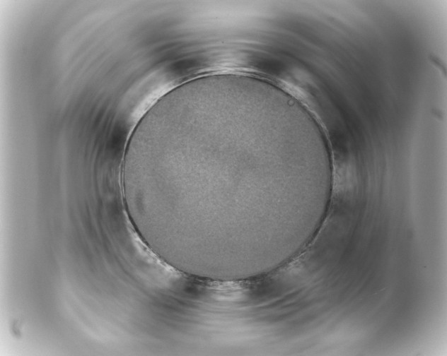 X0000101421338200807280929