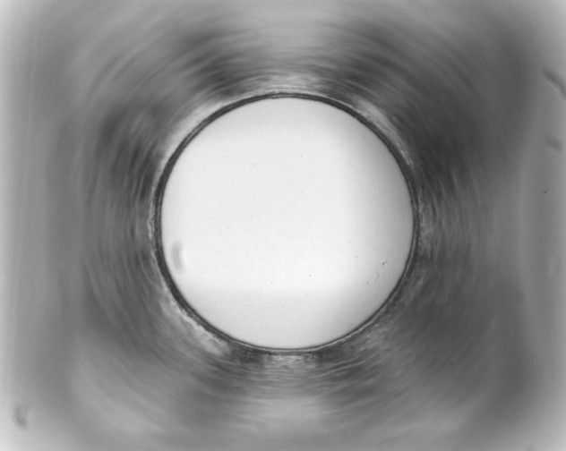X0000101421339200807280929