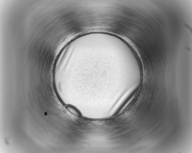 X0000101421341200807280929