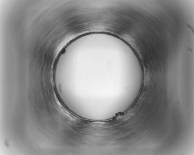 X0000101421342200807280929