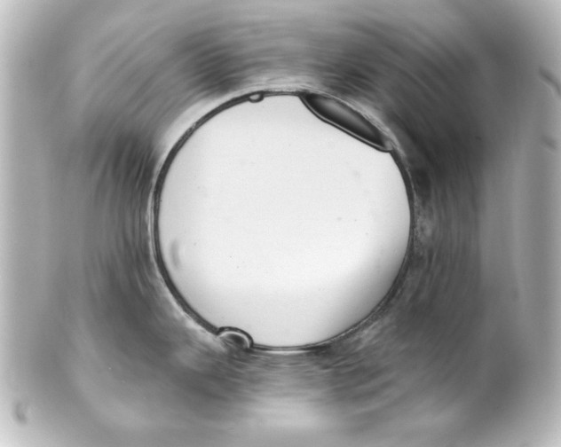 X0000101421343200807280929