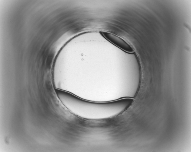 X0000101421344200807280929