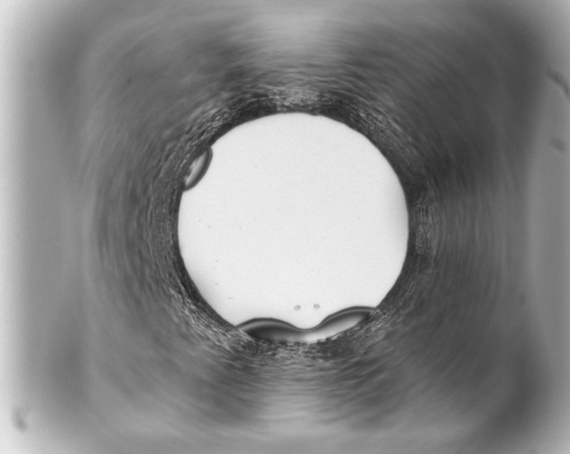 X0000101421345200807280928