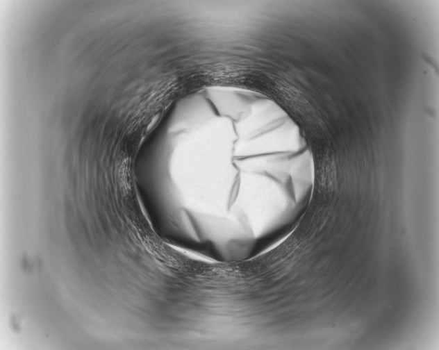 X0000101421346200807280928
