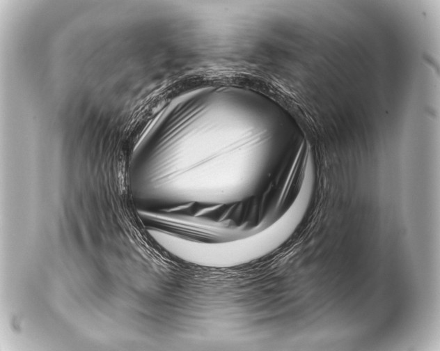 X0000101421348200807280928