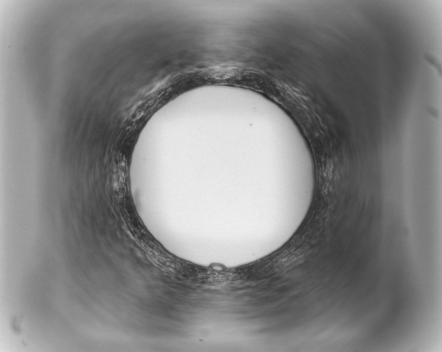 X0000101421349200807280928