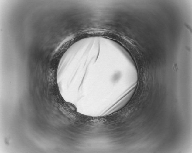 X0000101421351200807280928