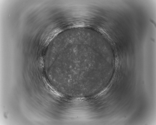 X0000101421353200807280928