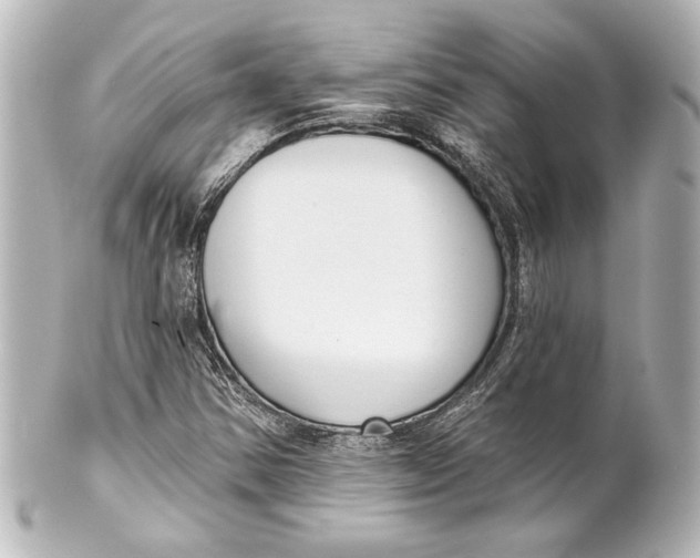 X0000101421354200807280928