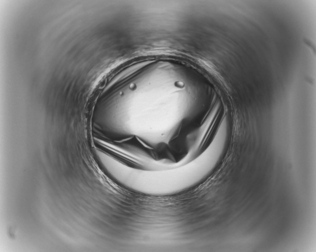 X0000101421356200807280928
