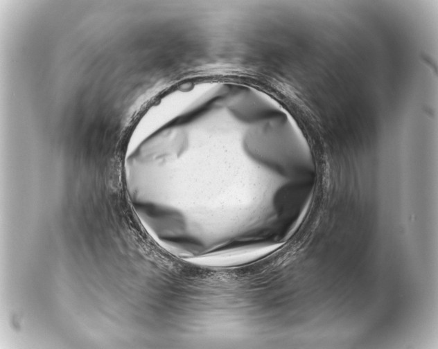 X0000101421358200807280928