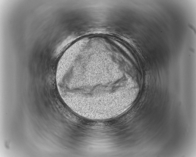 X0000101421359200807280928