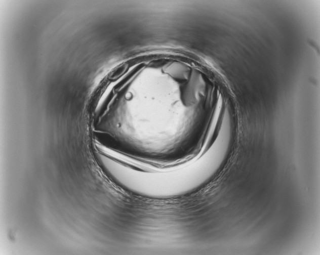 X0000101421360200807280928