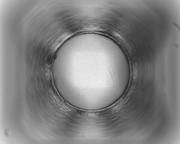X0000101421361200807280928