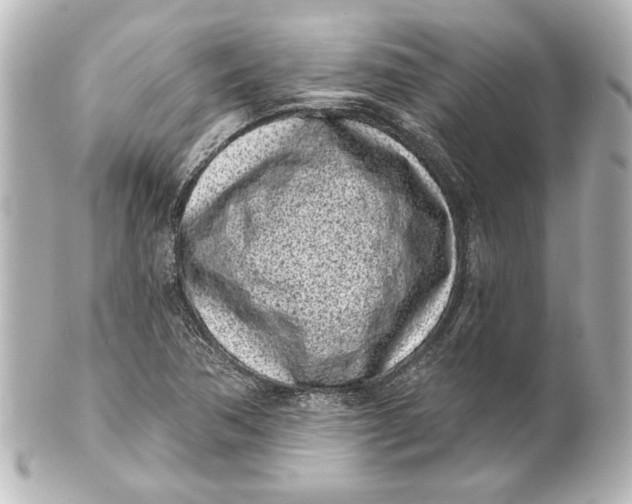 X0000101421362200807280928
