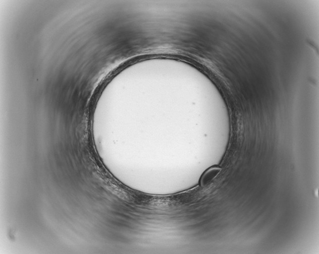 X0000101421364200807280928