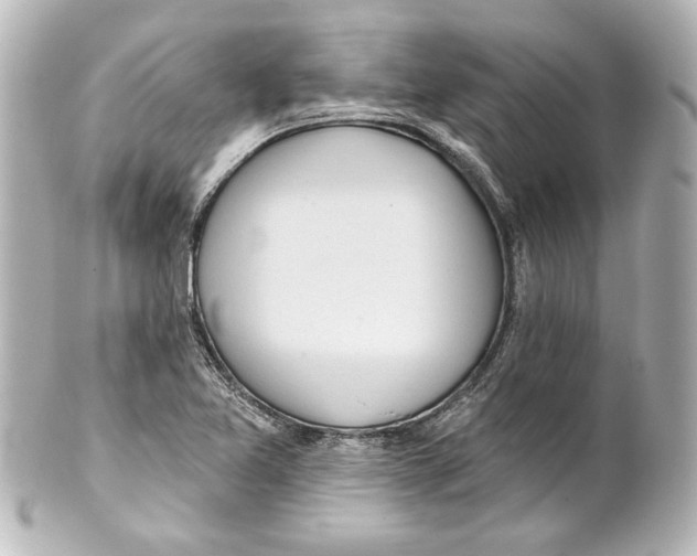 X0000101421365200807280928