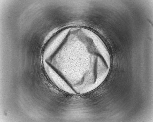 X0000101421366200807280928