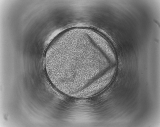 X0000101421367200807280928