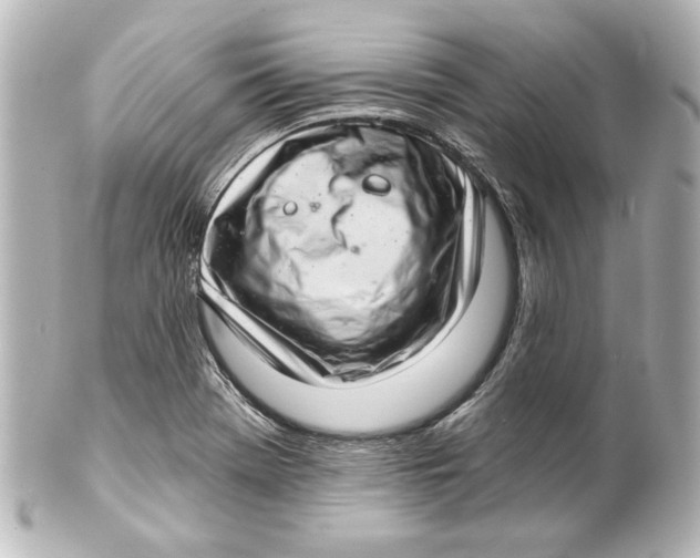X0000101421369200807280928