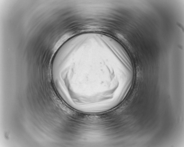 X0000101421370200807280928