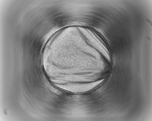 X0000101421371200807280928