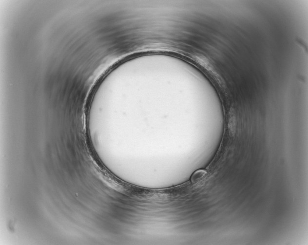 X0000101421372200807280928