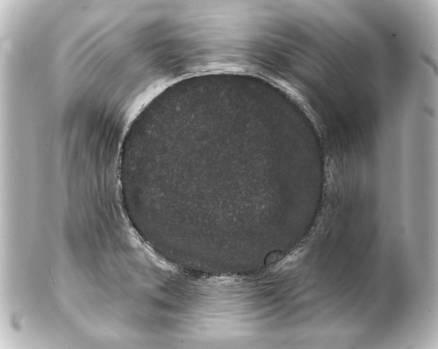 X0000101421373200807280928