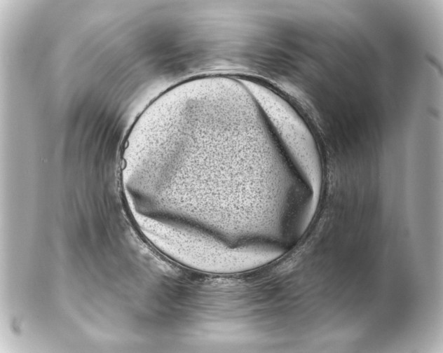 X0000101421374200807280928