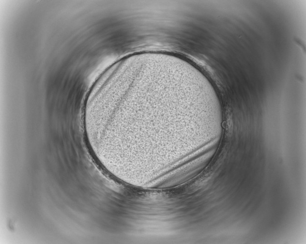 X0000101421375200807280928