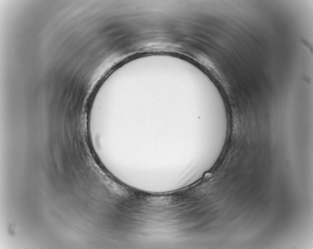 X0000101421376200807280928