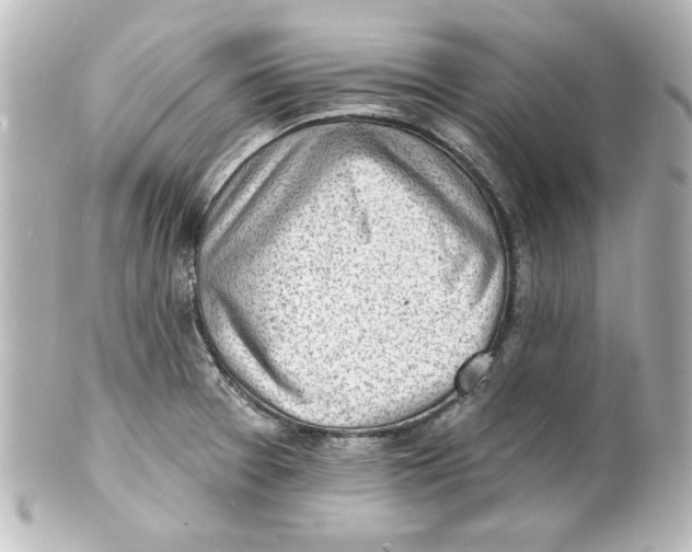 X0000101421377200807280928