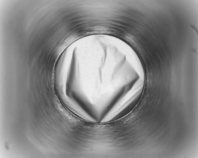X0000101421378200807280928
